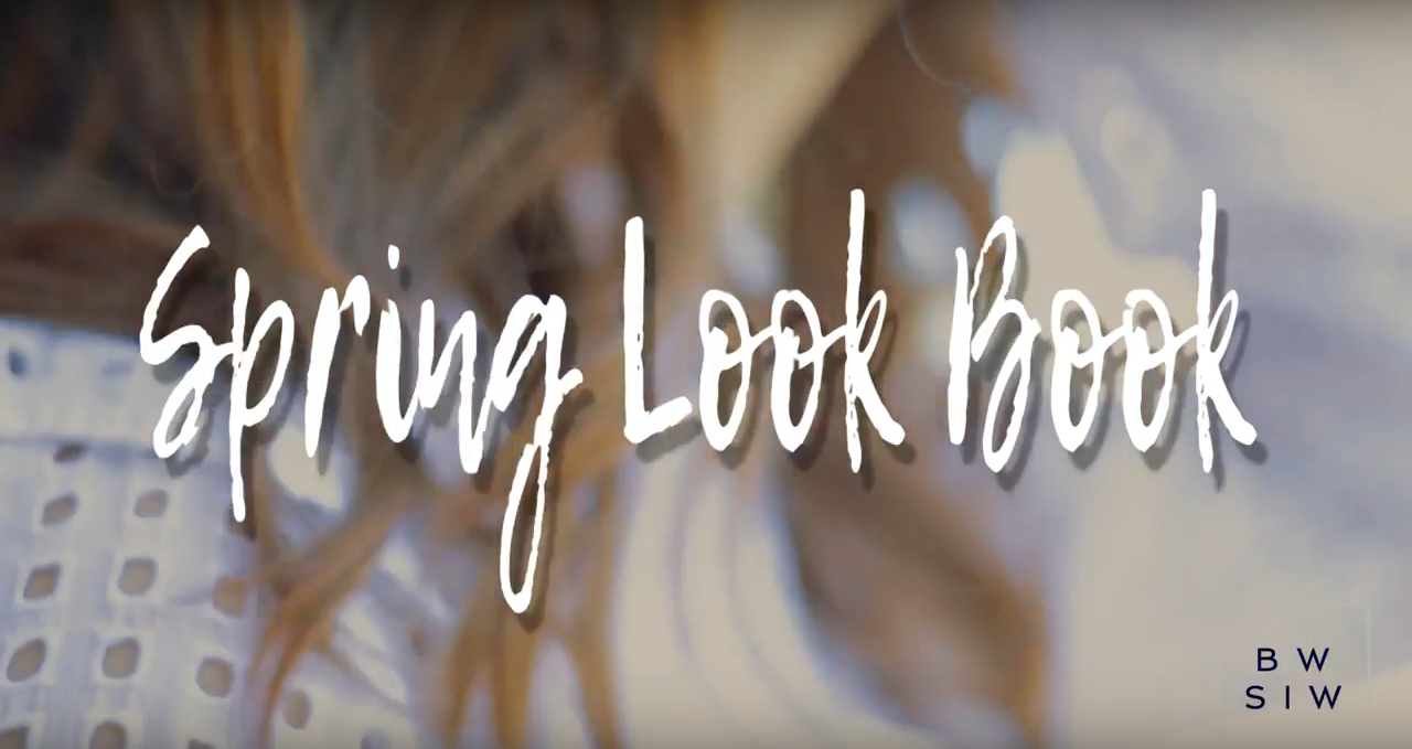 But What Should I Wear Spring Lookbook 2017 by Allison Kelley Video